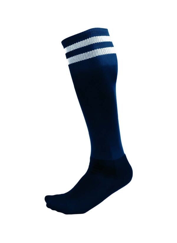 Dominate Striped Sock