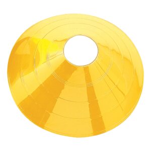12" DISC CONES