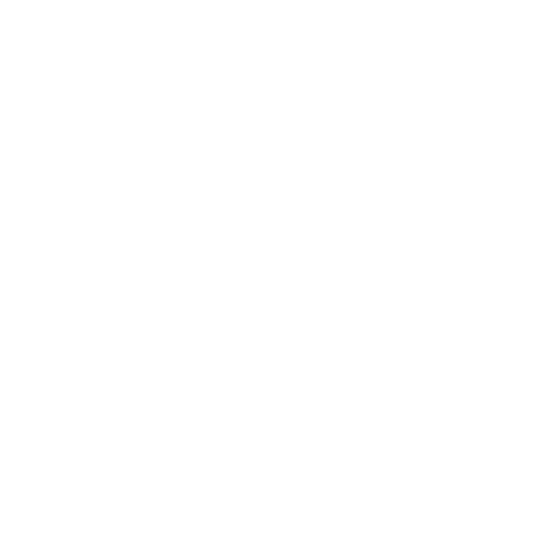 Next Level Apparel